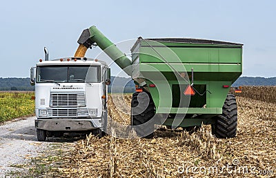 Grain cart dumping corn into semitruck in corn field during harvest Editorial Stock Photo