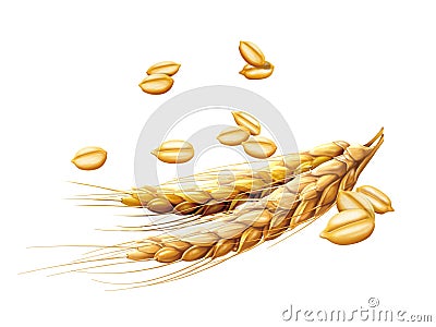 Grain and cereal Stock Photo