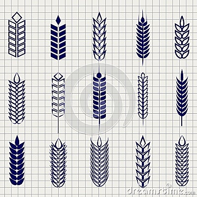 Grain ears collection on notebook page Vector Illustration