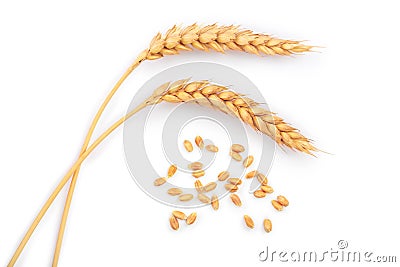 Grain and ears of wheat isolated on white background. Top view Stock Photo