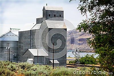 Grain Elevator Stock Photo