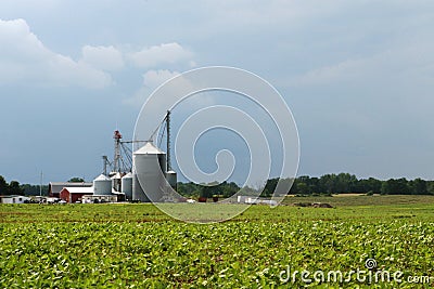 Grain Elevator Stock Photo