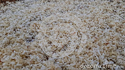 Grain of leftover rice being dried in the sun Stock Photo