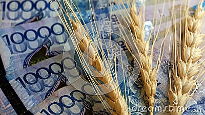 Grain and money. Three wheat heads and forty thousand KZT. The concept of an expensive harvest, corruption in the field of agricu Stock Photo