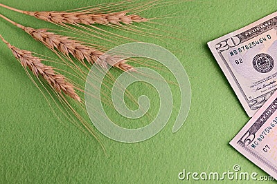 Grain and money. Three wheat heads and twenty-five dollars a united states. Concept corruption in the field of agriculture, purcha Stock Photo