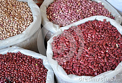 Grain in sacks Stock Photo