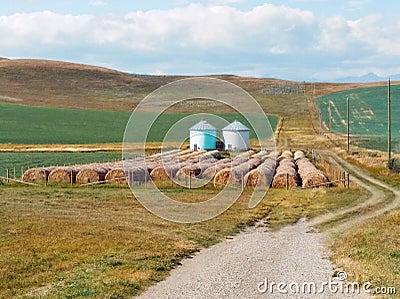 Grain silo with crop wheat rolls in Alberta. Canadian prairie landscape in autumn season Stock Photo