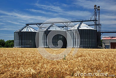 Grain silos Stock Photo