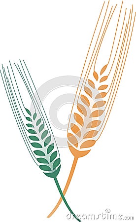 Grain vector Vector Illustration