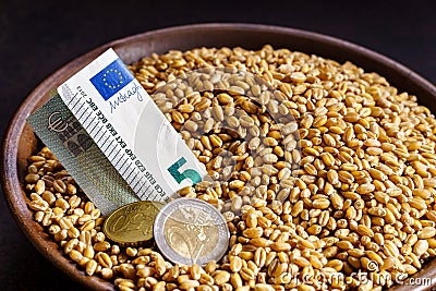 Grain of wheat in a bowl with europian currency Stock Photo