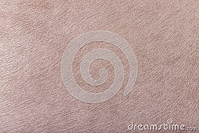 Grained beige background Stock Photo