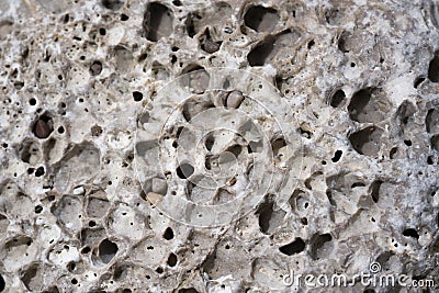 Grained coastal limestone texture with erosion holes. Weathered natural sea stone background for your design Stock Photo