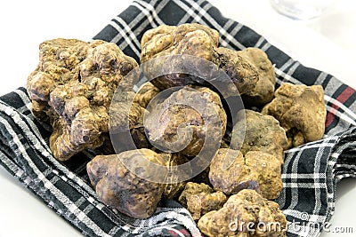 Grains of Alba white truffle Stock Photo