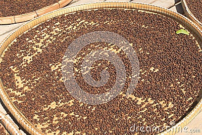 Grains of black pepper in basket Stock Photo