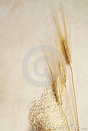 Grains of rice and ears of wheat Stock Photo