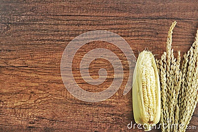 Grains of ripe corn on wooden background Stock Photo