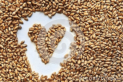Grains of ripened beautiful wheat in the shape of a heart, harvesting in autumn Stock Photo