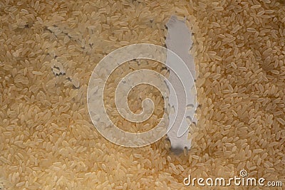 The grains of steamed rice are scattered on the surface and the letter 