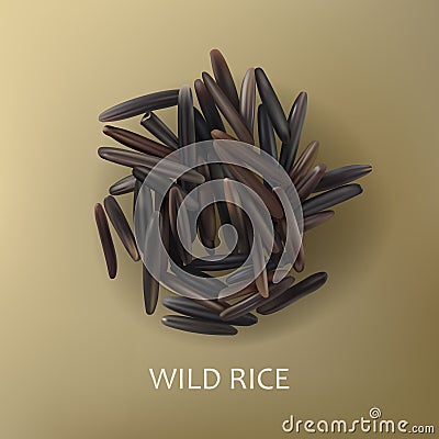 Grains of wild black rice Vector Illustration