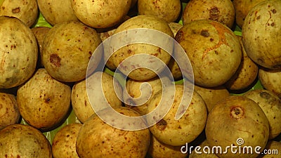 grainy and blurry picture of a brown ball fruit called as Lansium domesticum or Lansium parasiticum langsat kokosan pisitan Stock Photo