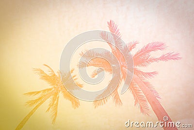 Grainy pastel tropical colorful palms background Stock Photo