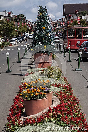 Gramado Christmas Tree South of Brazil Editorial Stock Photo