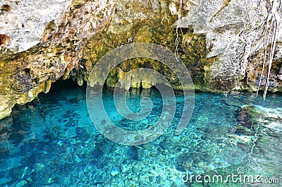 Gran Cenote, Mexico Stock Photo