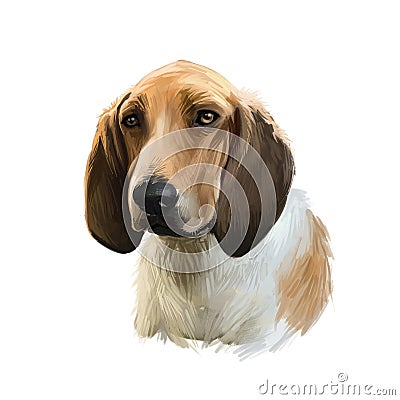 Grand Anglo-Francais, Great Anglo-French dog digital art illustration isolated on white background. France origin scenthound Cartoon Illustration
