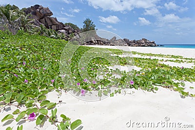 Grand Anse, La Digue, Seychelles Stock Photo