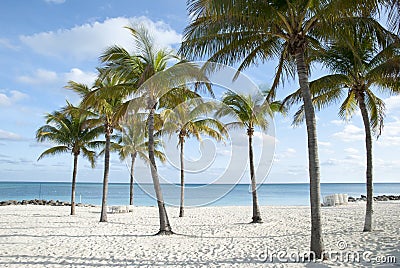 Grand Bahama Island Lucaya Beach Stock Photo