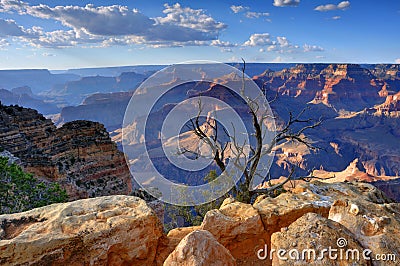 Grand Canyon Stock Photo