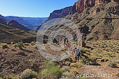 Backpackers on Grand Canyon National Park backcountry trail. Editorial Stock Photo