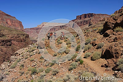 Backpackers on Grand Canyon National Park backcountry trail. Editorial Stock Photo