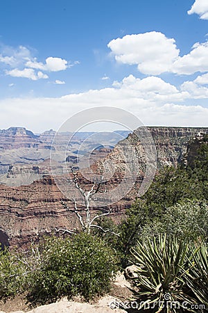 Grand Canyon National Park Stock Photo