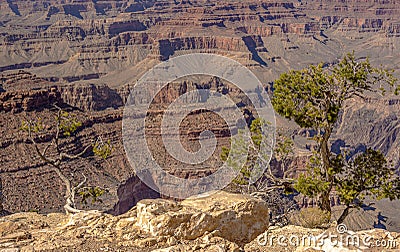 The Grand Canyon from the south rim Stock Photo