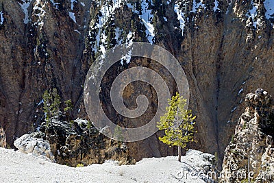 Grand Canyon of the Yellowstone Stock Photo