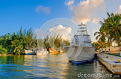 Grand Cayman Islands Harbour House Marina Editorial Stock Photo