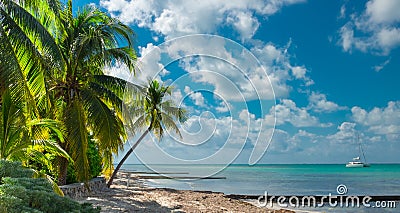 Grand Cayman-Rum Point Stock Photo