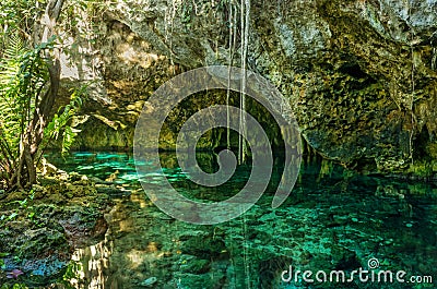 Grand Cenote in Mexico. Stock Photo