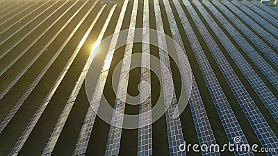 Grand champ des panneaux solaires photovoltaïques bleus au coucher du soleil Silhouette d'homme se recroquevillant d'affaires Vol clips vidéos Grand champ des panneaux solaires photovoltaïques bleus au coucher du soleil Silhouette d'homme se recroquevillant d'affaires Vol clips vidéos