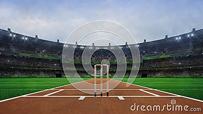 Grand cricket stadium with wooden wickets front view in daylight Stock Photo