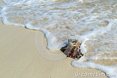 Grand Turk and Caicos Stock Photo