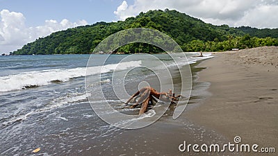 Atlantic Ocean at Grande Riviere beach in Trinidad and Tobago Stock Photo