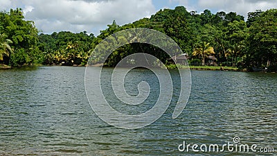 Tropical Grande Riviere river in Trinidad and Tobago Stock Photo