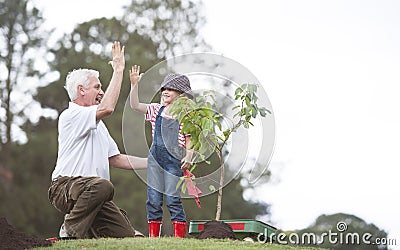 Grandfather and child planting tree in park family togetherness Stock Photo