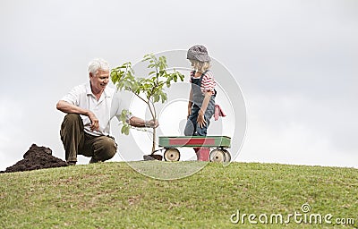 Grandfather and child planting tree in park family togetherness Stock Photo