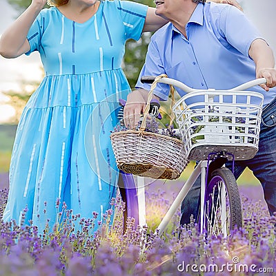 Grandfather and grandmother in a lavender field on a bicycle ride and relax together. Older Lifestyle 70 Stock Photo