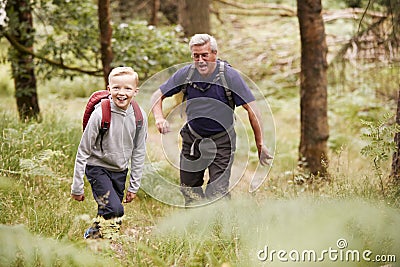 Grandfather and grandson hiking in a forest amongst greenery, selective focus Stock Photo