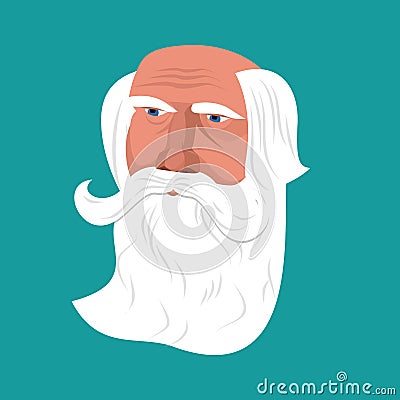 Grandfather with gray beard face isolated. head Old man. Retired Vector Illustration