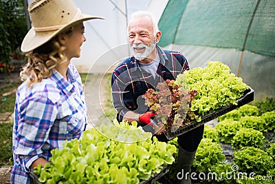 Grandfather growing organic vegetables with grandchildren and family at farm Stock Photo